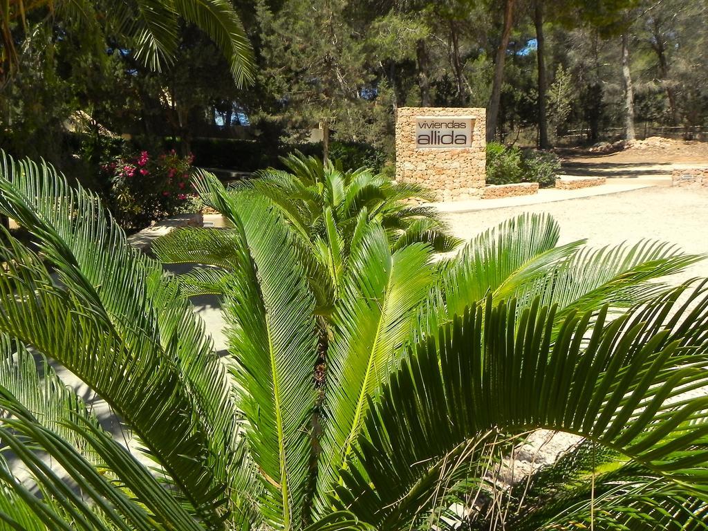 بلايا ميجورن Viviendas Turisticas Vacacionales Allida المظهر الخارجي الصورة